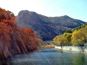 澳门天天开奖免费资料，单孔面板